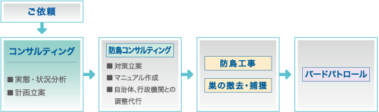 ご依頼
↓
コンサルティング(実態・状況分析、計画立案)
↓
防鳥コンサルティング(対策立案、マニュアル作成、自治体、行政機関との調整代行)
↓
防鳥工事、巣の撤去・捕獲
↓
バードパトロール